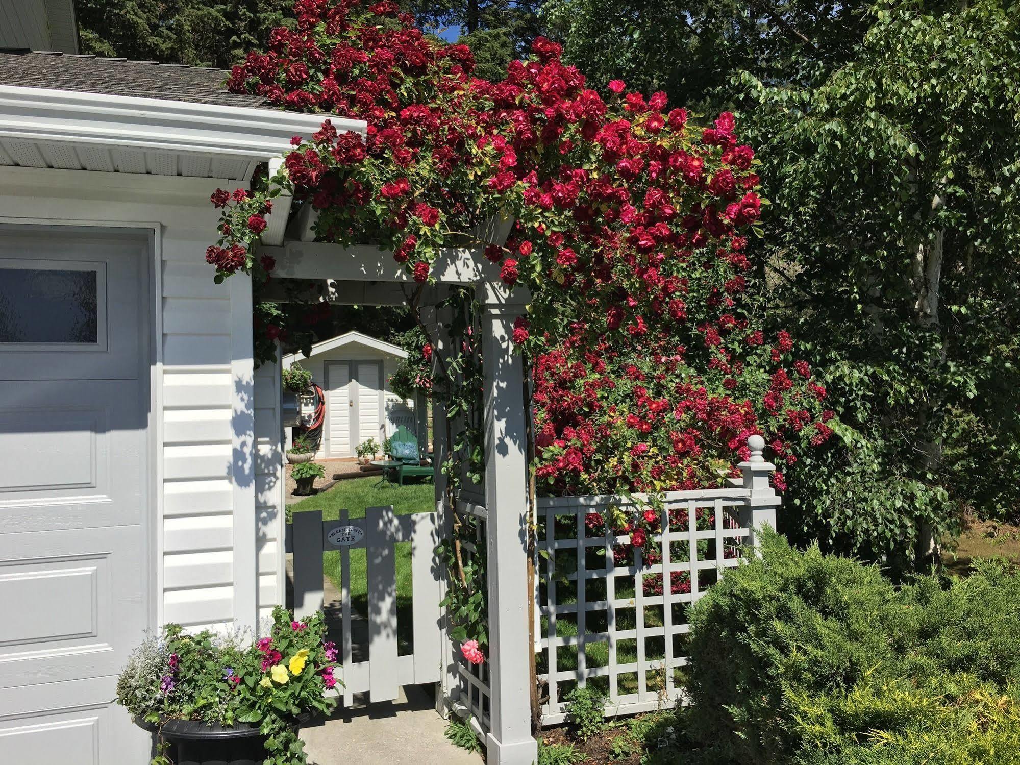 Alexandria House Bed & Breakfast Вест-Келоуна Экстерьер фото